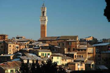 Cityscape of Siena, in the hearth of Tuscany, Italy.