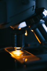 Wall Mural - close up of examining of test sample under the microscope in laboratory.
