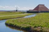Fototapeta  - Dutch farm in spring in a polder near the dunes.