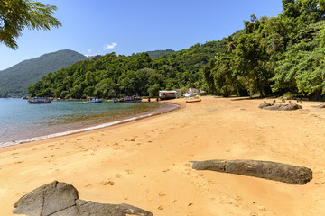 View of the beach and the meeting between the sea and the rainforest on Big Island, green coast of Rio de Janeiro