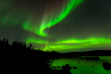 dancing lights - colorful northern lights drop down from starry sky over evergreen forest surroundin