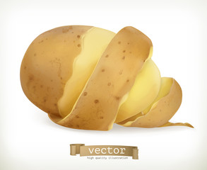 Vegetable potato peel spiral. Vector food