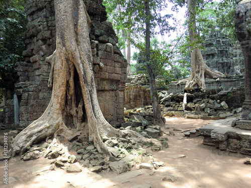Ta Prohm tree root covered ancient abandoned lost temple in Siem Reap, Cambodia Poster