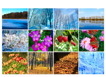 Blank With Twelve Colored Images Of Nature For Calendar