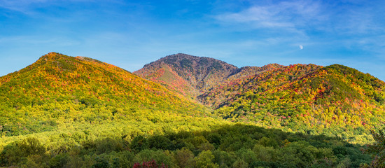 Wall Mural - Great Smoky Mountains, Early autumn foliage, Tennessee