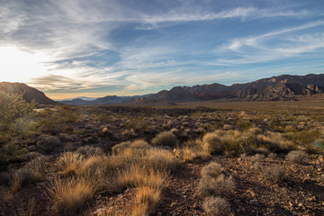 Wall Mural - Desert -01