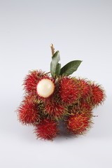 Poster - rambutan