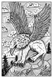 Gryphon, beast with lion body and eagle head. Engraved fantasy illustration