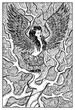 Harpy or woman with eagle wings. Engraved fantasy illustration