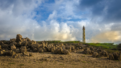 Poster - The white old California Lighthouse in Aruba