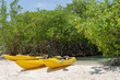 Kayaks at the Mangel Halto beach in Aruba