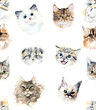 Seamless pattern with cats and roses. Watercolor hand drawn illustration