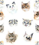 Fototapeta Koty - Seamless pattern with cats and roses. Watercolor hand drawn illustration
