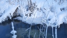Forest Stream In Winter Snow Grass Nature And Tree Beautiful Landscape