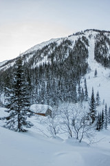 Wall Mural - Cabin house chalets in winter forest with snow