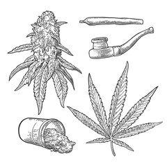 Wall Mural - Marijuana buds, leaves, bottle , cigarettes and pipe for smoking.