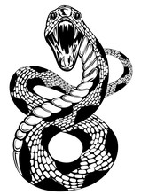 snake attacke