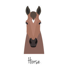 Vector Brown Horse Head Isolated. Flat, Cartoon Style Object