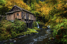 Cedar Creek Grist Mill With Fall Color. Located In Woodlands, Washington.