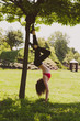 © Svetlana Iakusheva - Young brunette standing on her hands and rests on a tree in the green park