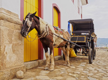 Brazil, State Of Rio De Janeiro, Paraty, Horse Carriage On The Old Town.