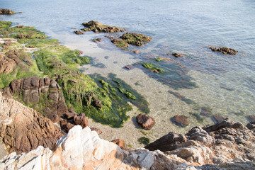 Wall Mural - 日本の海岸の風景