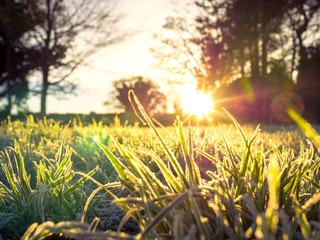 countryside winter morning sunrise,northern ireland