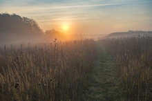 Misty And Sunny Morning In The Countryside