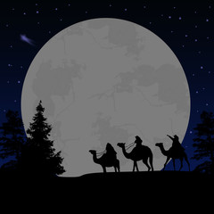 Wall Mural - Three wise men or kings in front of full moon at night, vector illustration