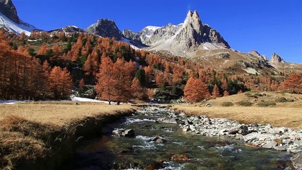 Poster - River and Larch trees in Vallee de la Claree, France, during a clear day in autumn.