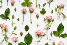 Decorative Pattern With Pink Roses, Leaves And Buds On White Background. Flat Lay, Top View