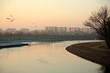 Rzeka Odra, kajaki, ptaki i bloki mieszkalne  tle, zachód słońca.