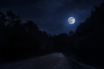 landscape of night view of roads with bright moon and among stone hill from one side and forest from
