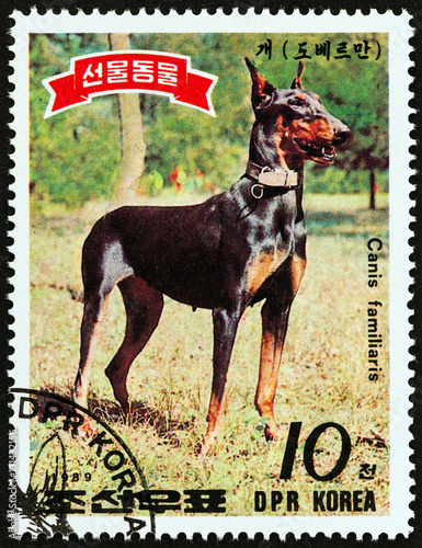 Poster Dobermann Pinscher dog(North Korea 1989)