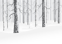 Winter deciduous forest