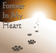 Dog Memorial - Forever In My Heart Is An Illustration Of A Memorial Design Honoring The Loss Of A Dog. Includes Fading Dog Footprints And Text.