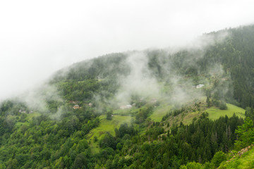  Foggy Plateau Highland with Giresun - Turkey