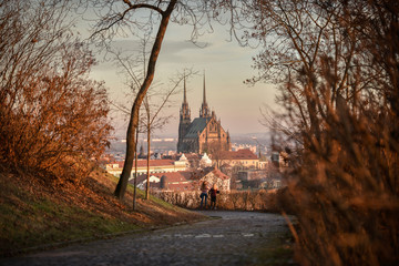 Cathedral of Saints Peter and Paul in Brno in the Czech Republic