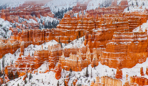 Cuadros en Lienzo Snow Striations - An overnight snowfall highlights the striations and cliff bands in the sandstone of Bryce Canyon, Utah