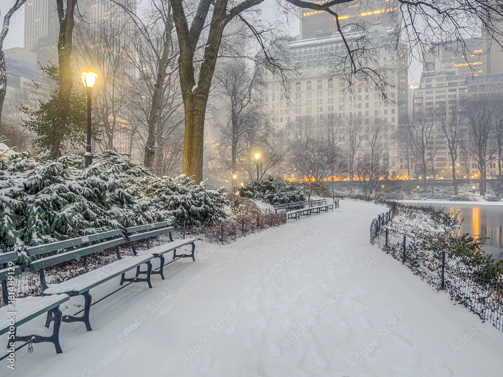 Poster Central Park New York City Snow Storm Nikkel Art