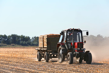 Sticker - Onion harvesting with modern agricultural equipment in field