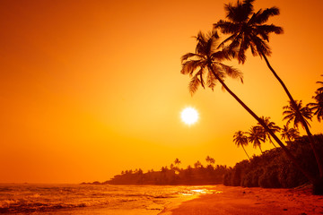 Wall Mural - Sunset on tropical beach