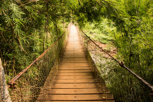 Dekoracja na wymiar  most-linowy-w-tropikalnym-lesie
