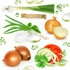 Wall Mural - Onion set, realistic vector icons