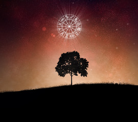 Wall Mural - Tree and zodiac signs