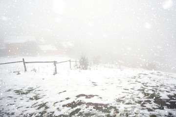 Canvas Print - Beautiful winter landscape during snow storm