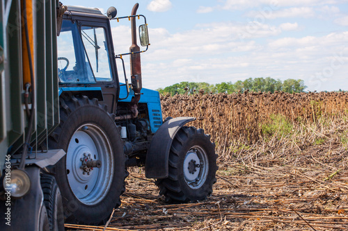 Fotografie, Obraz Big blue tractor with a trailer loaded with sunflower seeds close-up on the field