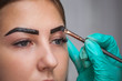 © Dimid - beautician- makeup artist applies paint henna on previously plucked design trimmed eyebrows in a beauty salon in the session correction. Professional care for face.