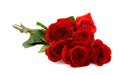 red rose bouquet isolated on white background