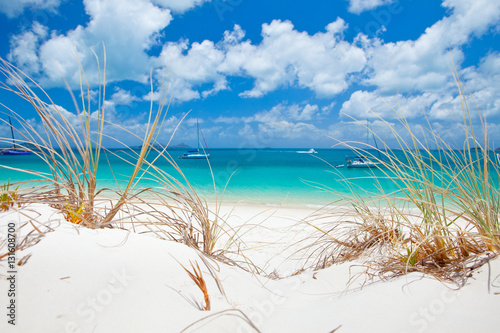 Cuadros en Lienzo Beautiful blue water of Whitehaven Beach in the Whitsundays